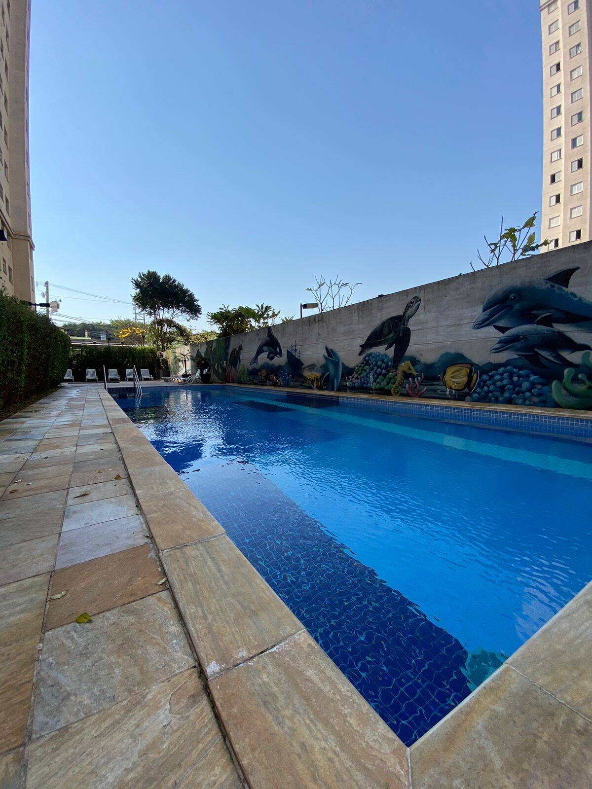 Apartamento, 2 quartos, 43 m² - Foto 11