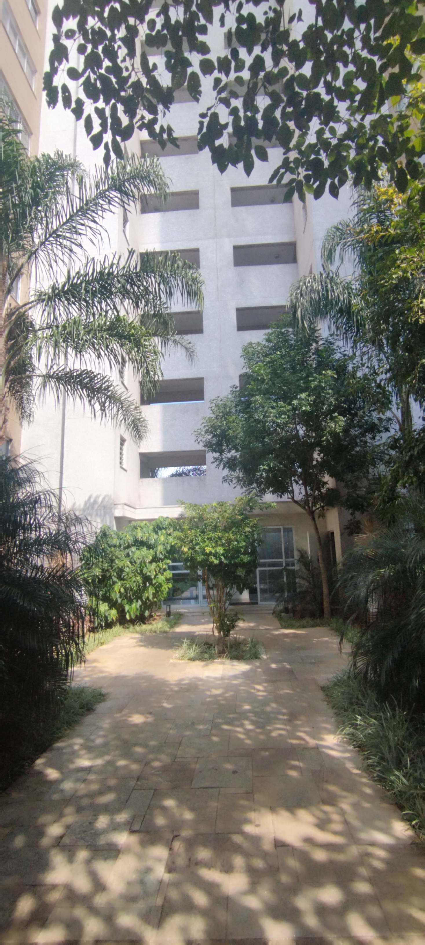 Apartamento, 25 m² - Foto 3